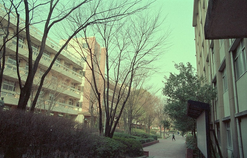 ６号館前から正面を見る