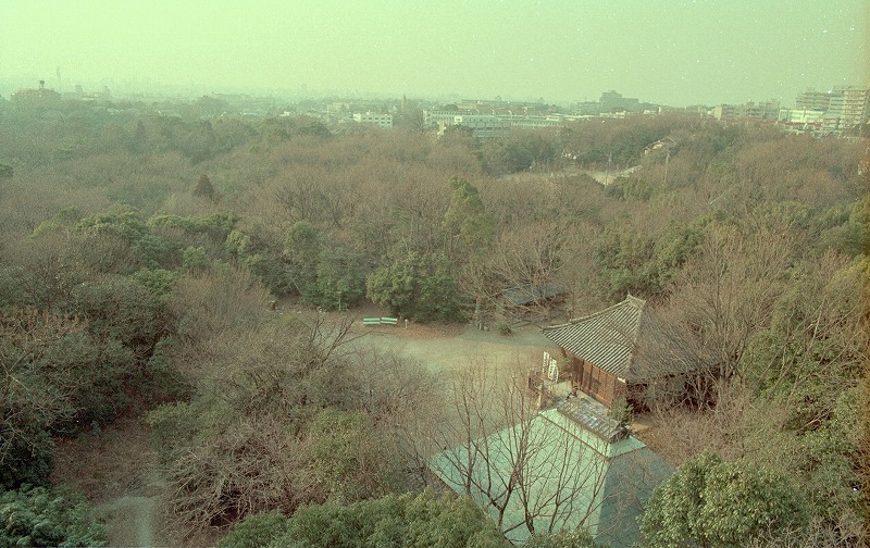 ４号館屋上より、運動場方向を見る
