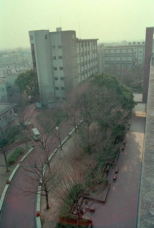 中庭と６号館を見る