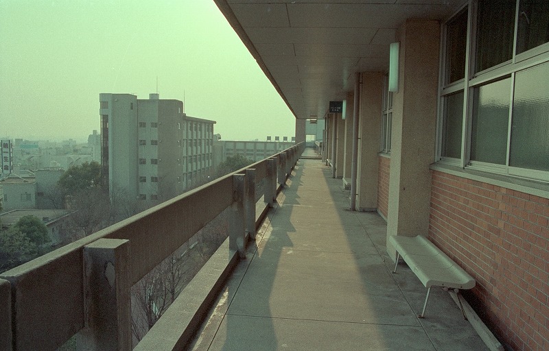 ４号館の廊下。遠くに見えるのは６号館。研究棟が少しだけ見える。